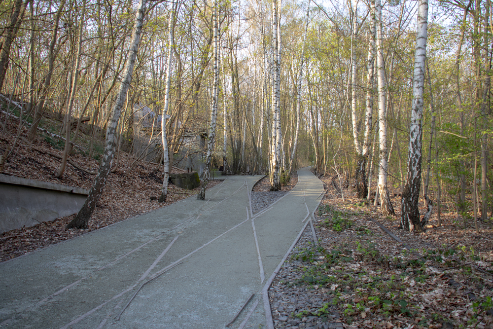 natur-park schöneberger suedgelaende