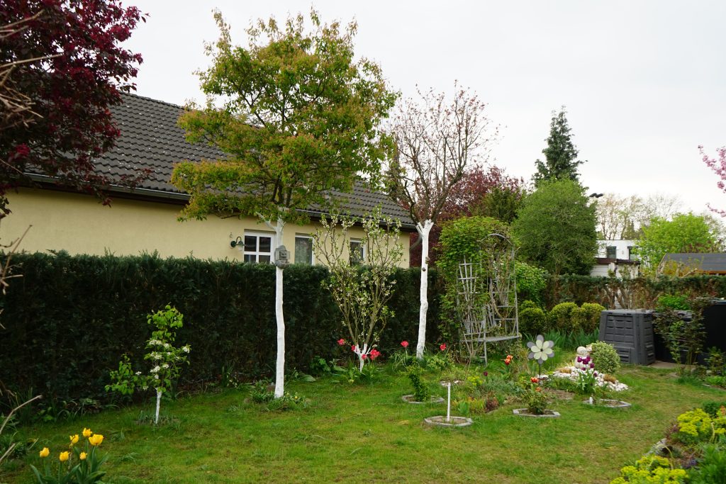 1991-bis-2000-zeit-sanierungen-wachstums-ostteil-berlins