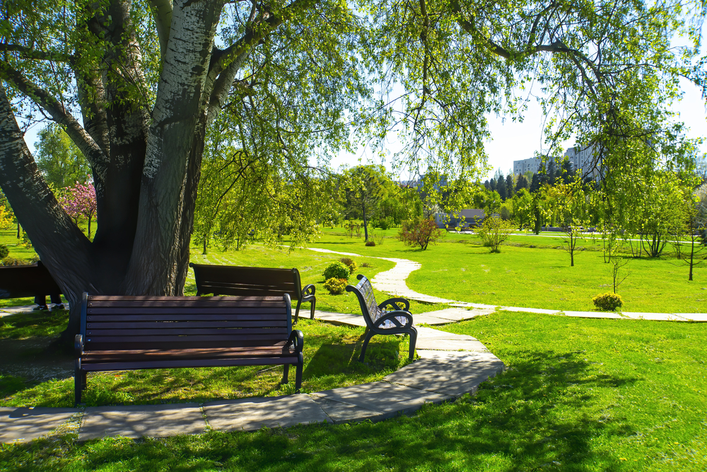 naherholungsmoeglichkeiten-stadtgruen-wassernaehe