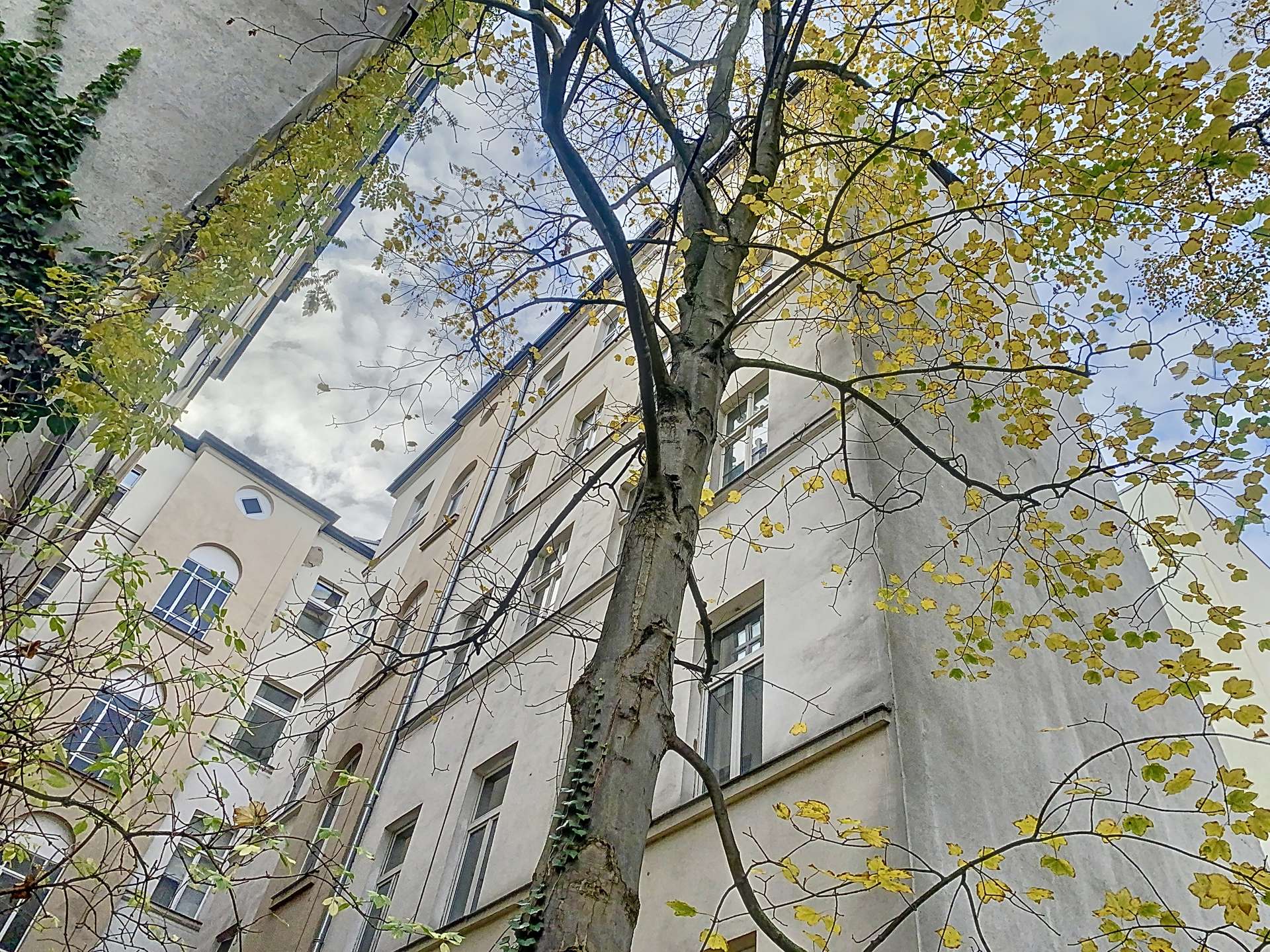 Ansicht Seitenflügel