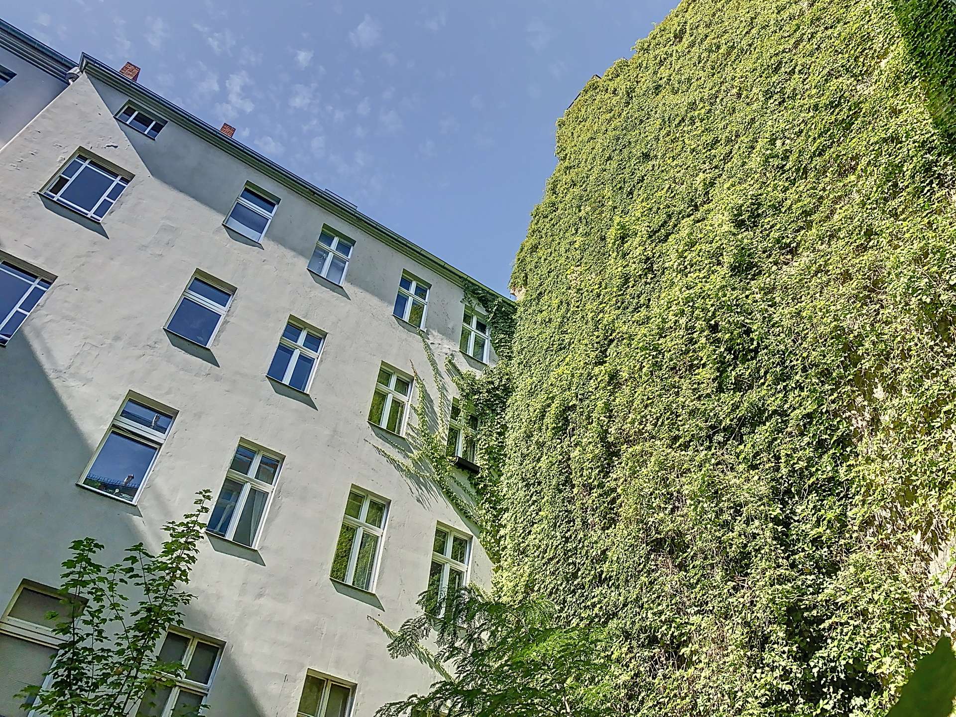 Ansicht Seitenflügel